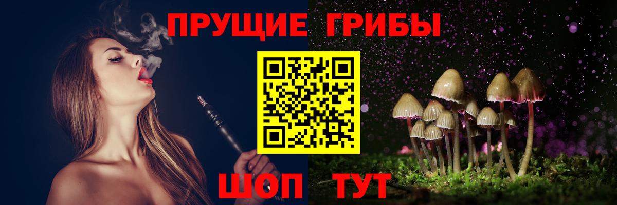 Галлюциногенные грибы прущие грибы  Вход с VPN  Ухта 
